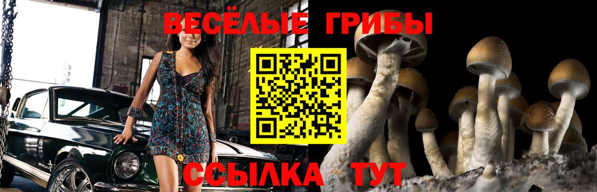 Псилоцибиновые грибы ЛСД  Вход с VPN  Тула 